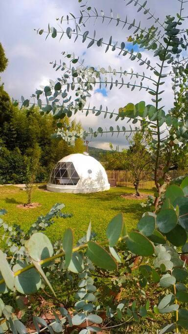 Dome In The Heart Of Boquete. Appartement Buitenkant foto