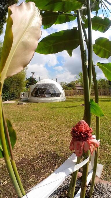 Dome In The Heart Of Boquete. Appartement Buitenkant foto